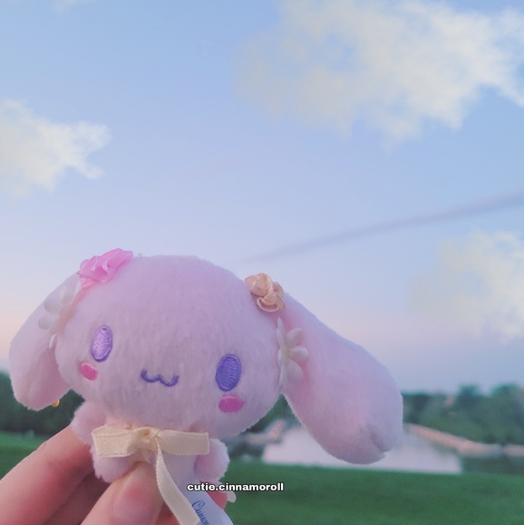 ccinnamoroll